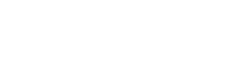 Spearity logo